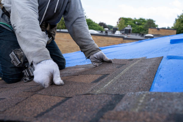 Best Best Roofing Contractors  in Johnson City, KS