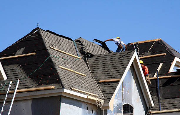 Best Roof Gutter Cleaning  in Johnson City, KS