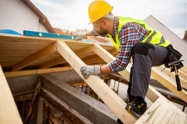 Best Roof Maintenance Services  in Johnson City, KS